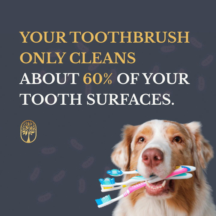 An infographic featuring a dog holding multiple toothbrushes with text stating that a toothbrush only cleans about 60% of tooth surfaces.